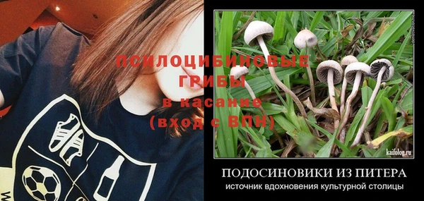 не бодяженный Беломорск