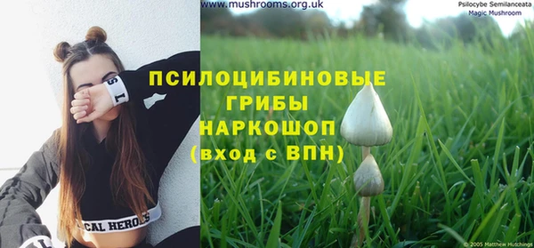мяу мяу кристалл Баксан