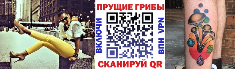 ссылка на мегу как войти Обь Псилоцибиновые грибы Psilocybe